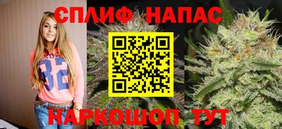 гашик Ирбит