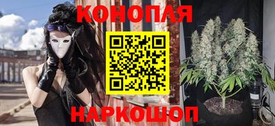 крисы Ипатово