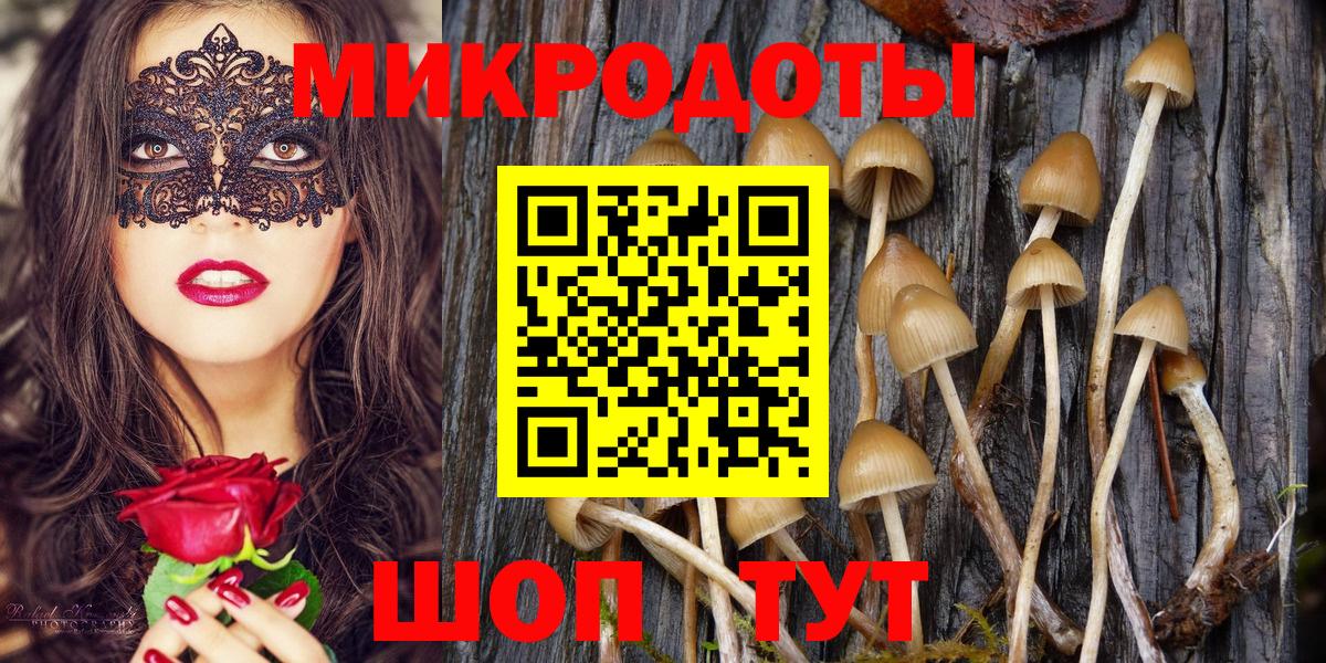 Волхов  Псилоцибиновые грибы прущие грибы  Вход с VPN  Псилоцибиновые грибы Psilocybine cubensis 