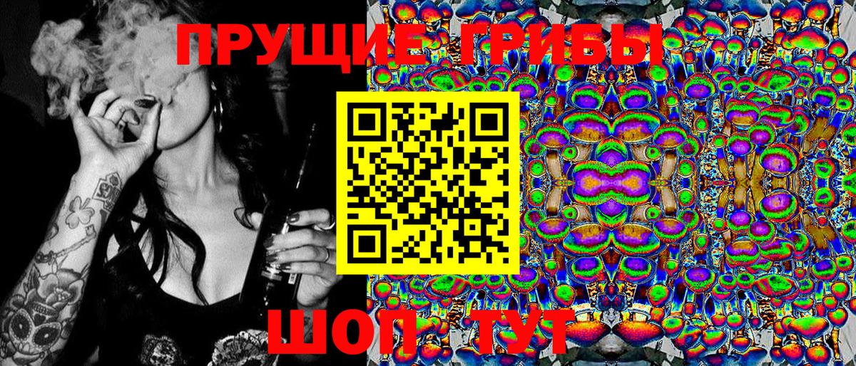Галлюциногенные грибы мицелий Волхов